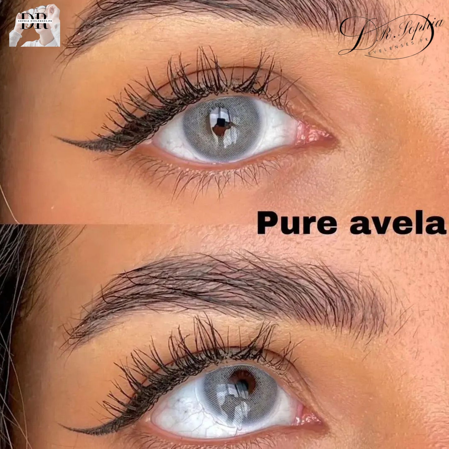 PURE AVELA