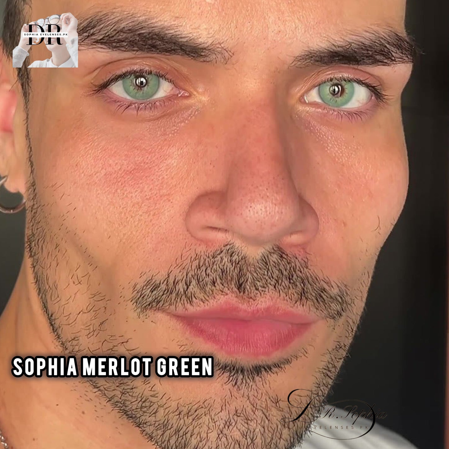 SOPHIA MERLOT GREEN