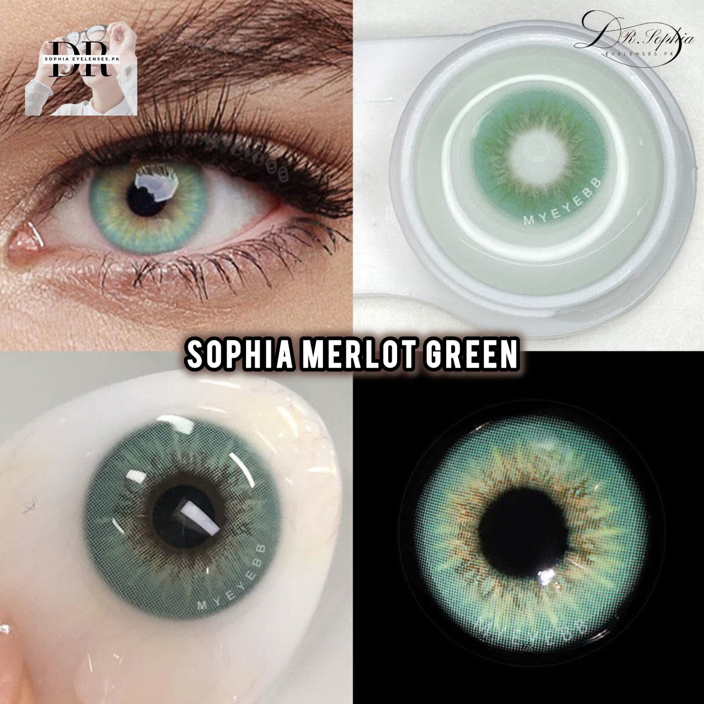 SOPHIA MERLOT GREEN