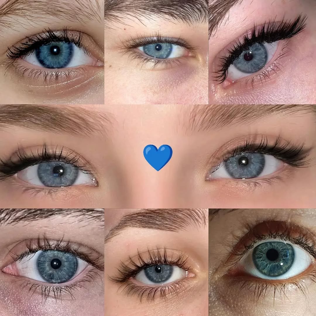 HIMALYA BLUE (CELEBRITY'S SPECIAL)