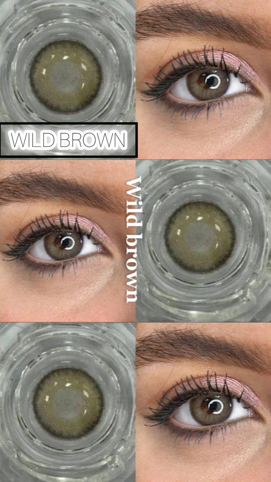 WILD BROWN 🟤