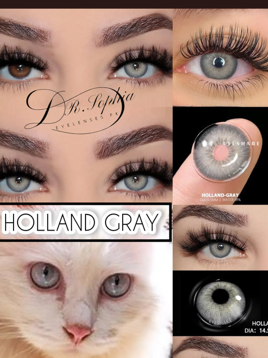 HOLLAND GRAY