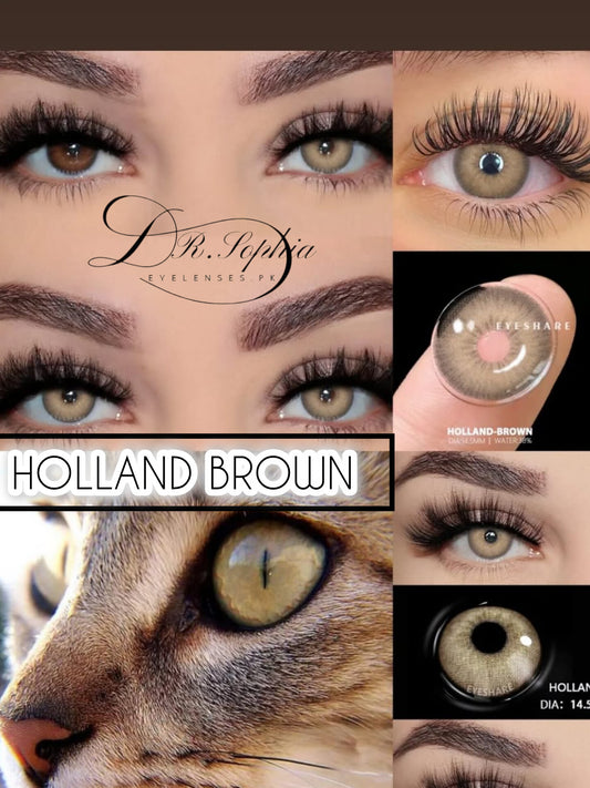 HOLLAND BROWN