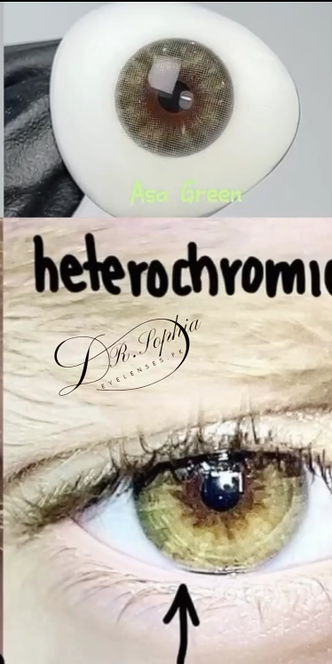 ASA GREEN (BUMPER SALE  )