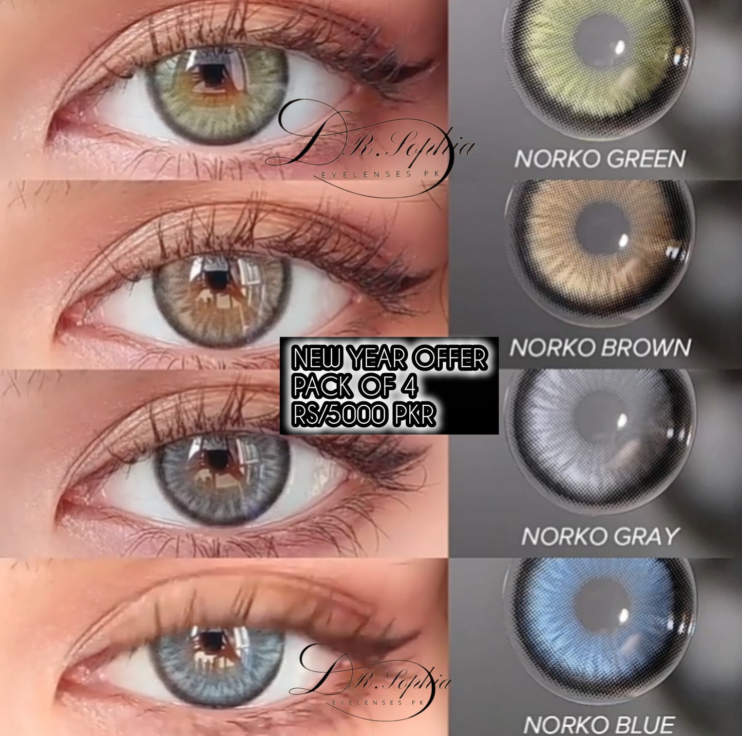 PACK OF 4 (RS/5000 PKR)NORKO SERIES' (NEW YEAR SALE)