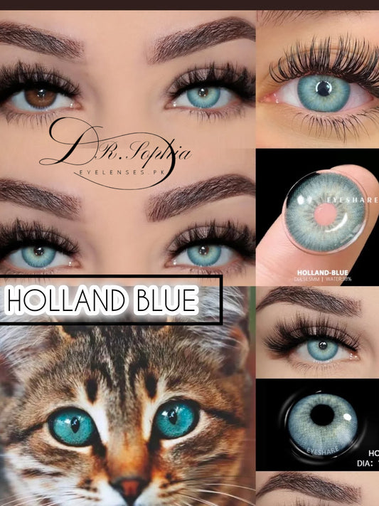 HOLLAND BLUE