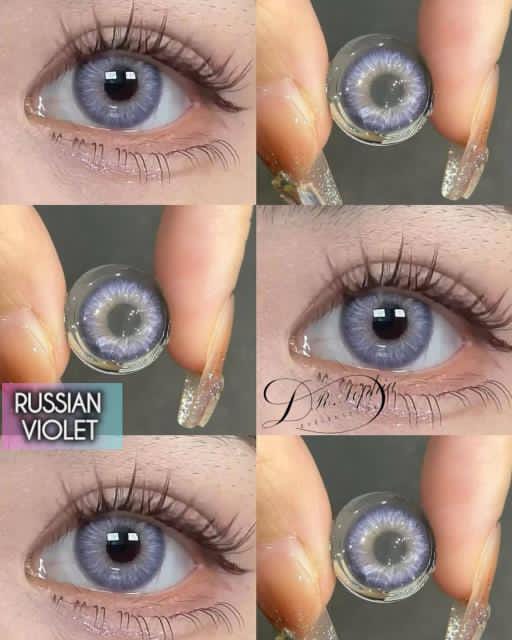 RUSSIAN VIOLET