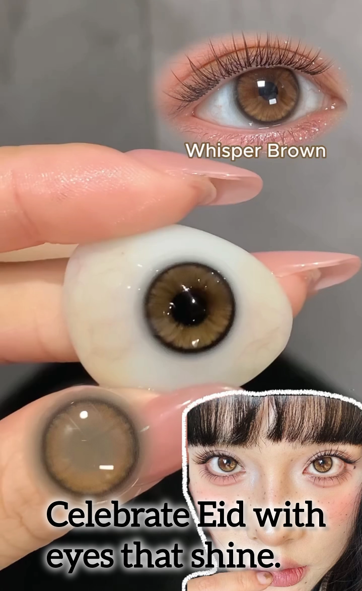 WHISPER BROWN (KOREAN BROWN)