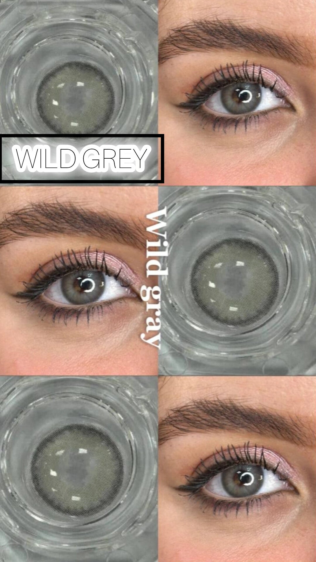 WILD GREY