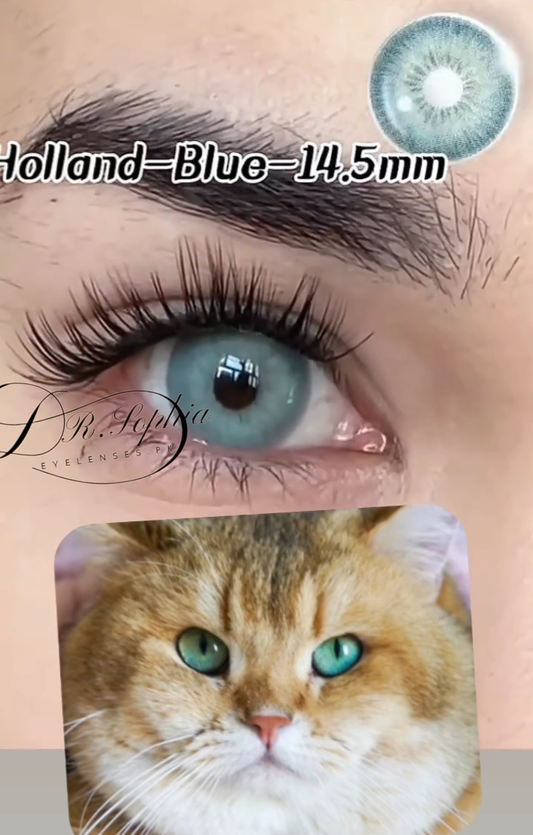 HOLAND BLUE (PAKISTAN SALE DISCOUNT JUST RS/1099)