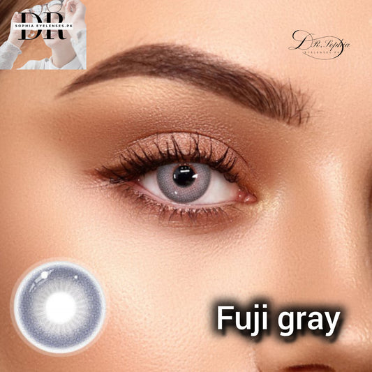 FUJI GRAY